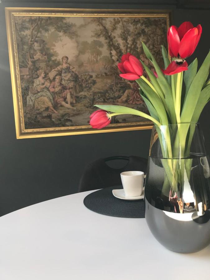 Savoya Nr2 Loft Studio Old City Center Self Check-In Workspace Тимишоара Экстерьер фото
